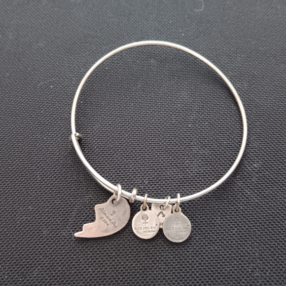 Alex and Ani Vintage Best Friends Bracelet - Picture 4 of 8